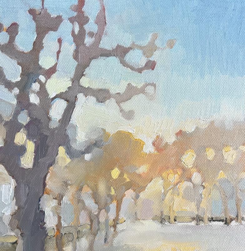 Winter sun, le jardin de Rodin, Paris